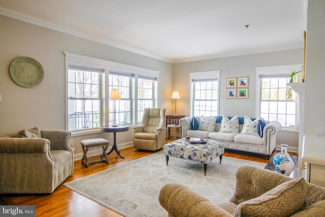 living room with light hardwood / wood-style floors and crown molding