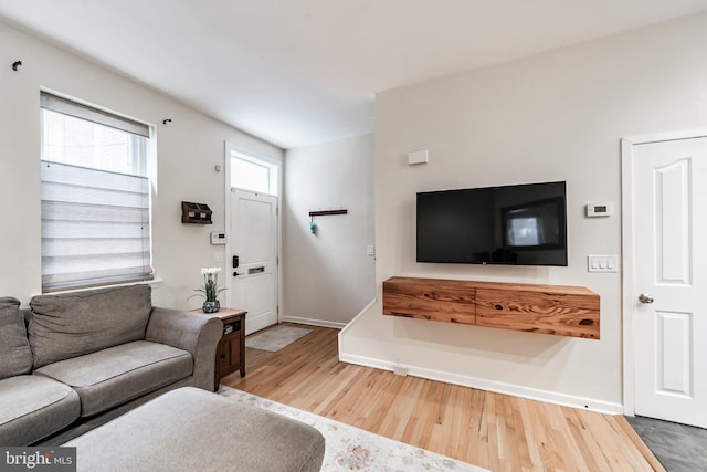 living room featuring wood-type flooring