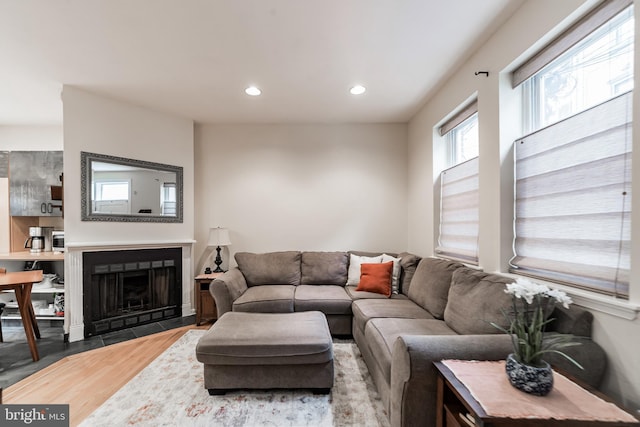 living room featuring wood-type flooring