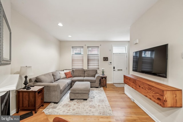 living room featuring light hardwood / wood-style floors