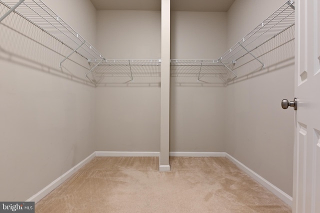 spacious closet with carpet floors