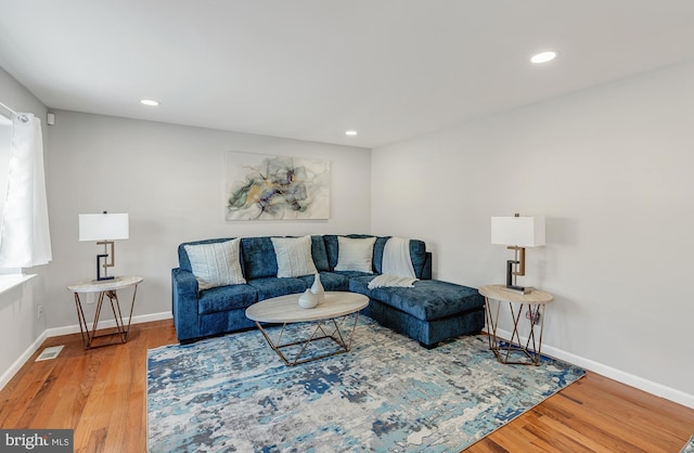 living room featuring wood-type flooring