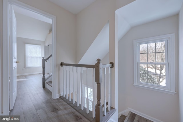 corridor with lofted ceiling, a wealth of natural light, and light hardwood / wood-style flooring