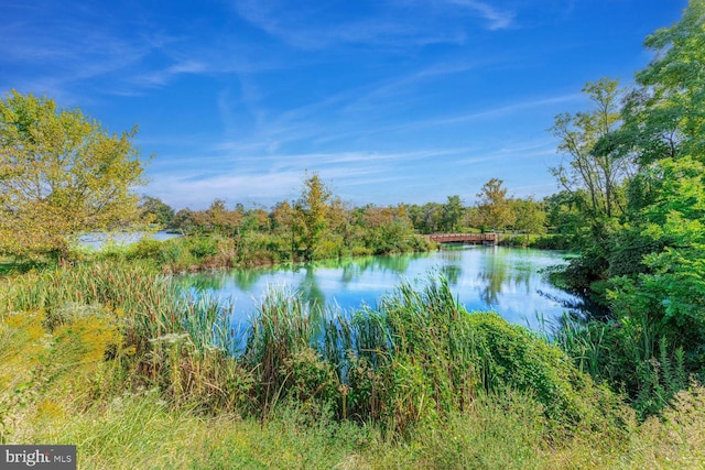 water view