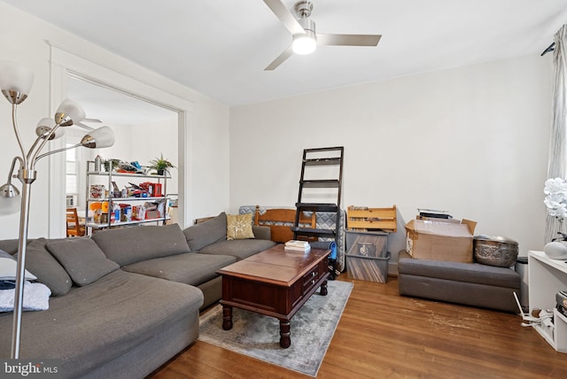 living room with hardwood / wood-style floors and ceiling fan