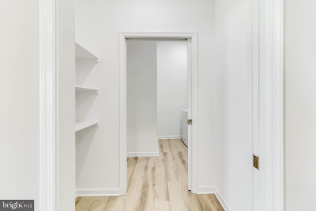 spacious closet with light wood-type flooring