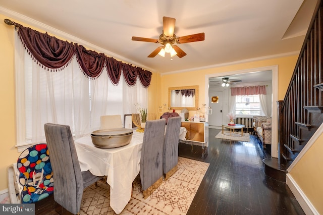 dining area with ceiling fan, hardwood / wood-style floors, and ornamental molding