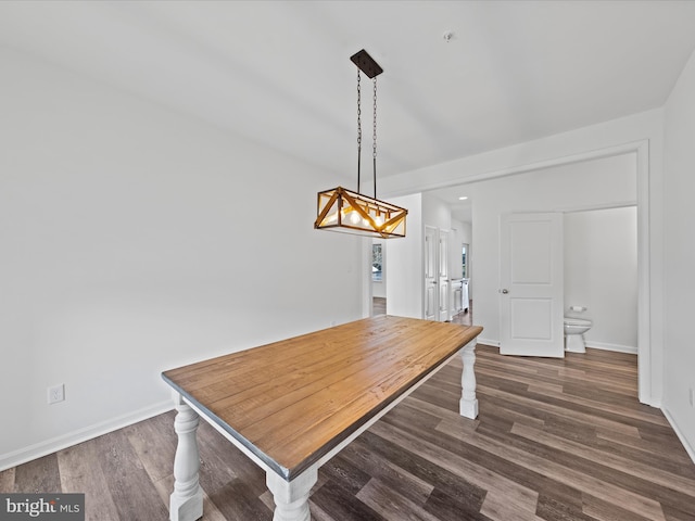 dining room featuring dark wood-type flooring