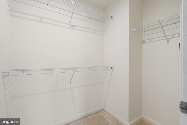 view of spacious closet