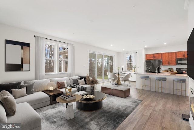 living room featuring sink and light hardwood / wood-style flooring