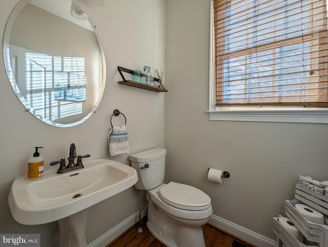 bathroom with sink, wood-type flooring, and toilet