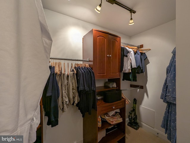 view of spacious closet