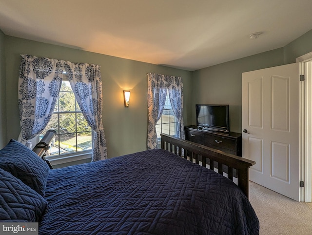 bedroom with carpet floors