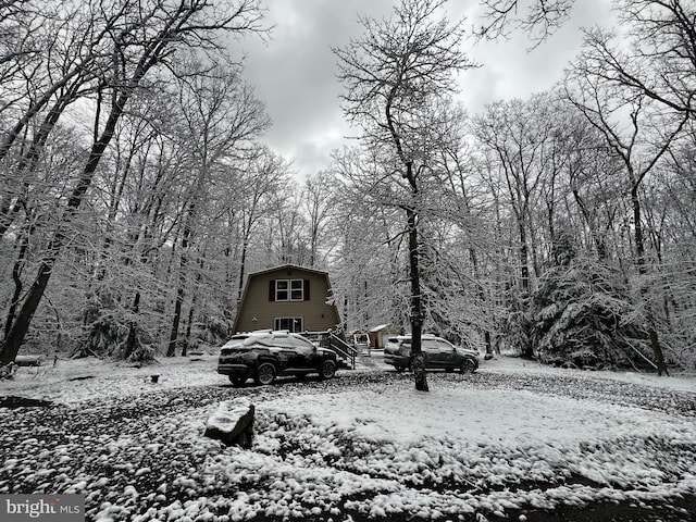 view of yard covered in snow