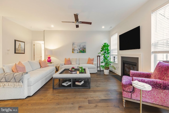 living room with ceiling fan and dark hardwood / wood-style floors