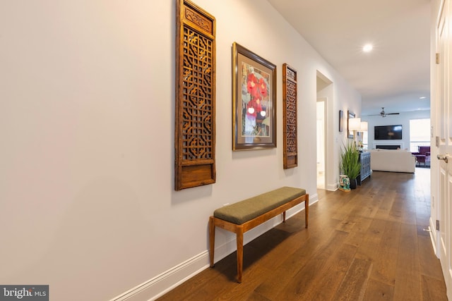 hall featuring dark wood-type flooring