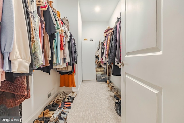 view of spacious closet