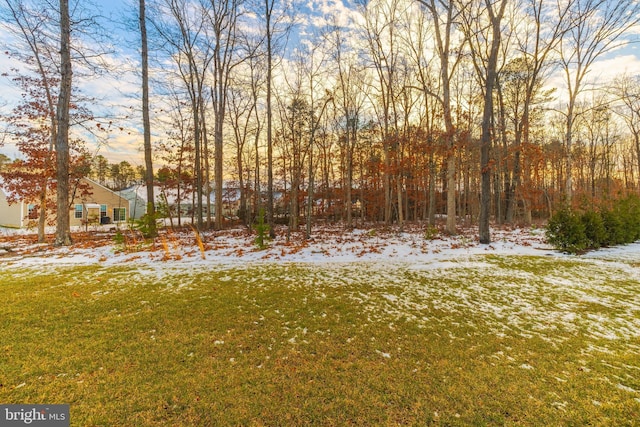 view of snowy yard