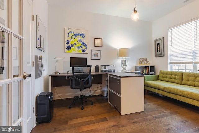 office featuring dark hardwood / wood-style flooring and a wealth of natural light