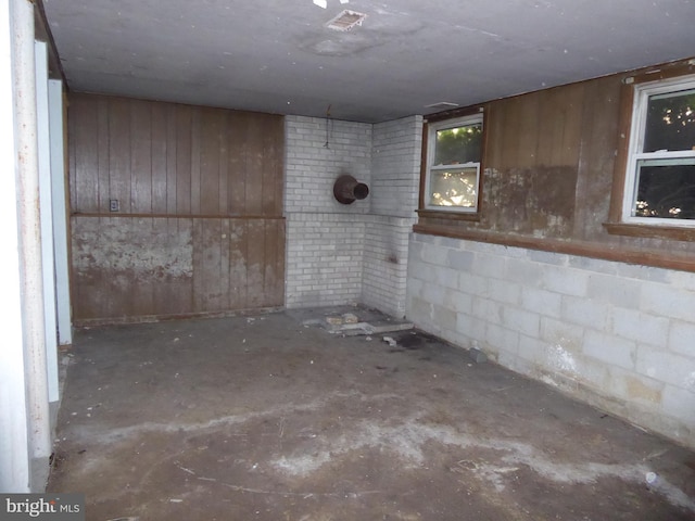 basement with wooden walls