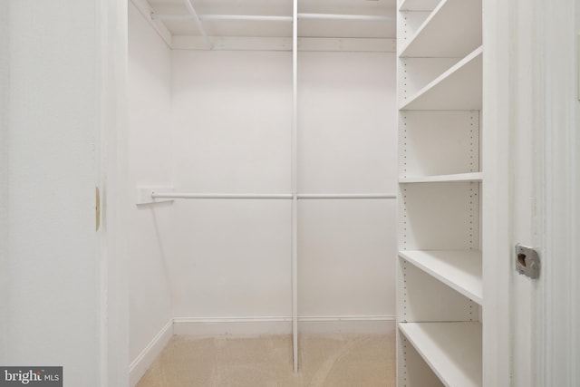 walk in closet with carpet