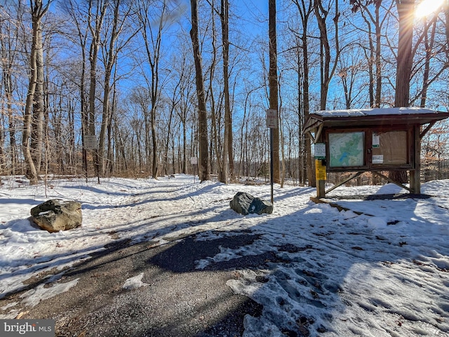 view of yard covered in snow