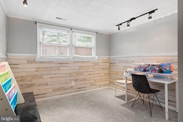 carpeted home office with rail lighting, a textured ceiling, and wood walls