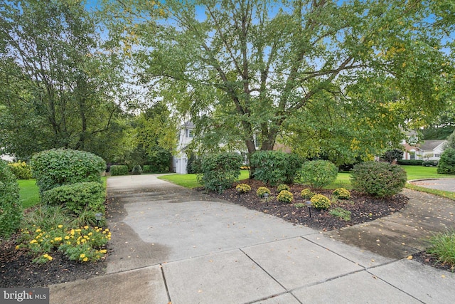 view of home's community featuring driveway and a lawn