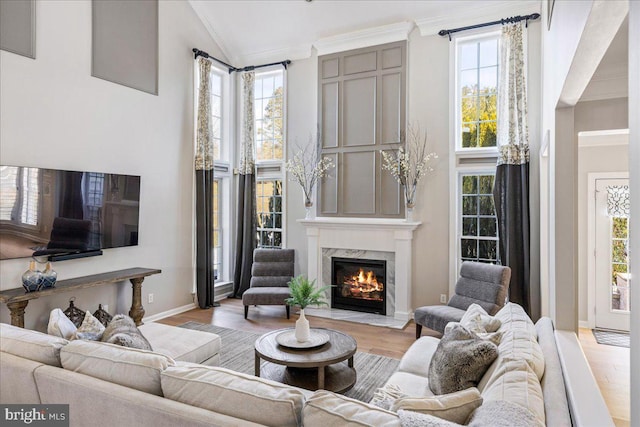 living room with a premium fireplace, light wood-type flooring, and a wealth of natural light