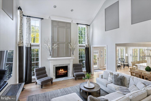 living room with a high end fireplace, ornamental molding, light hardwood / wood-style flooring, and a healthy amount of sunlight