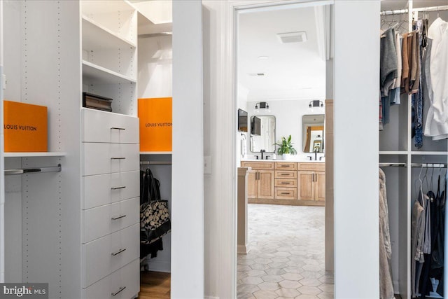 spacious closet with sink