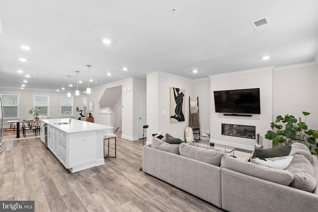 living room with ornamental molding, light hardwood / wood-style floors, and sink