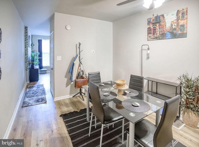 dining room featuring ceiling fan and light wood-type flooring