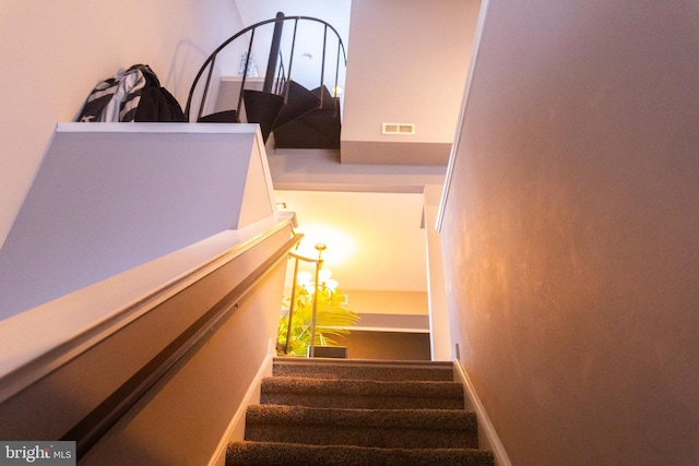 stairs featuring carpet flooring