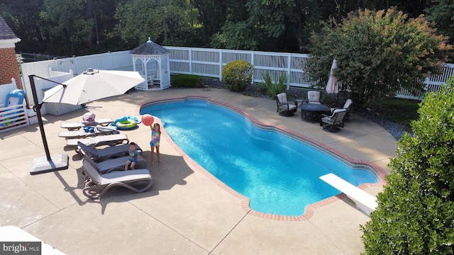 view of pool with a diving board and a patio