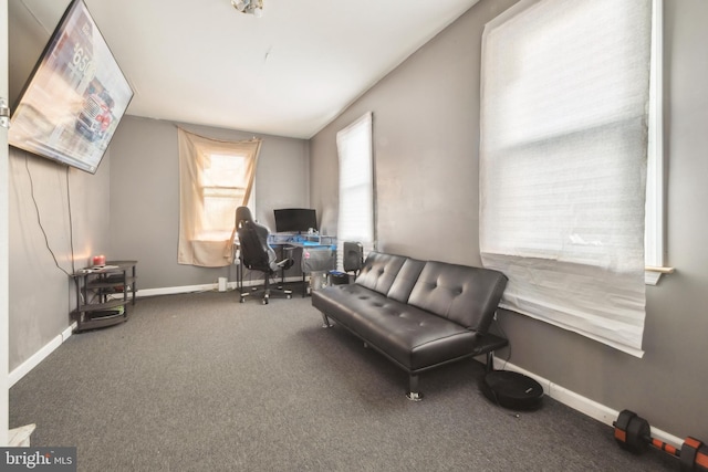 living area with carpet floors