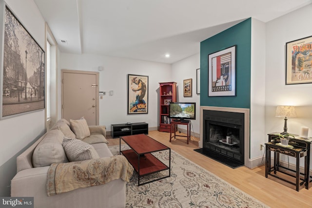 living room with light hardwood / wood-style floors and a healthy amount of sunlight