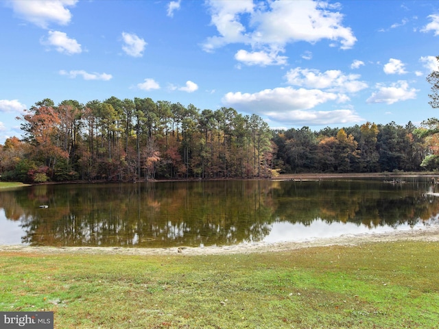 water view featuring a forest view