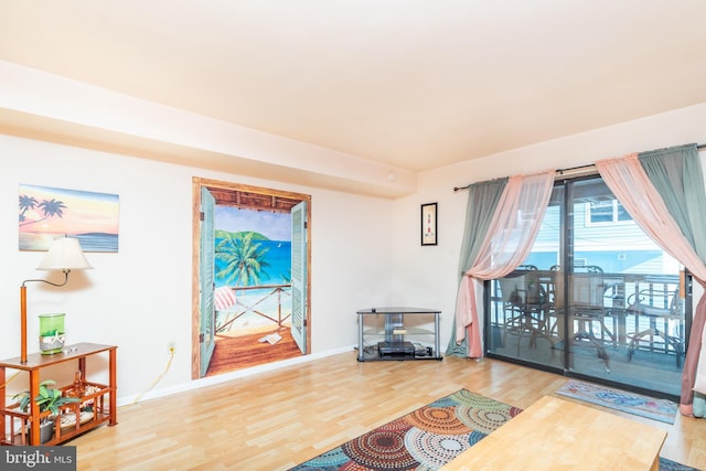 living room with wood-type flooring