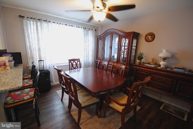 dining room featuring ceiling fan and dark hardwood / wood-style flooring