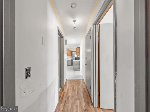 hall with light wood-type flooring and crown molding