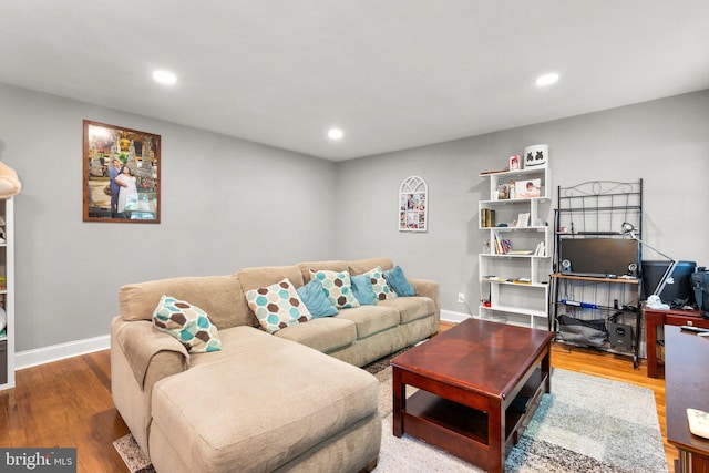 living room featuring hardwood / wood-style floors