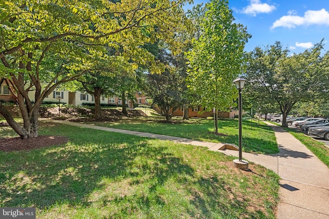 view of property's community with a yard