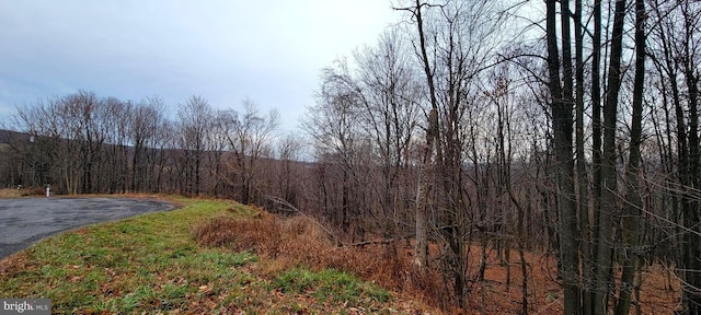 view of landscape