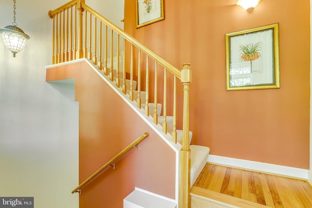 staircase featuring wood-type flooring