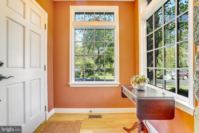 entryway featuring light wood-type flooring