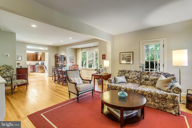 living room featuring light wood-type flooring