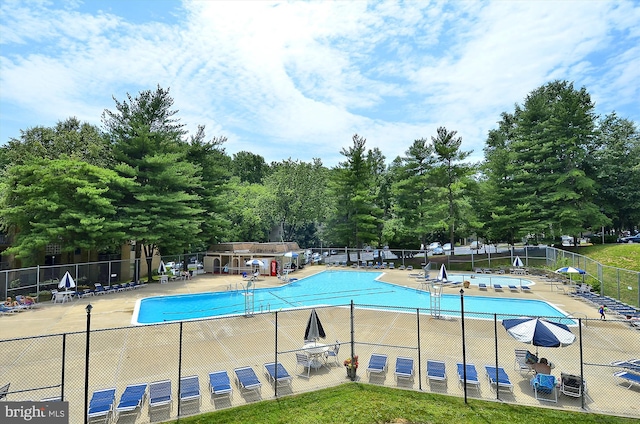 view of swimming pool with a patio area