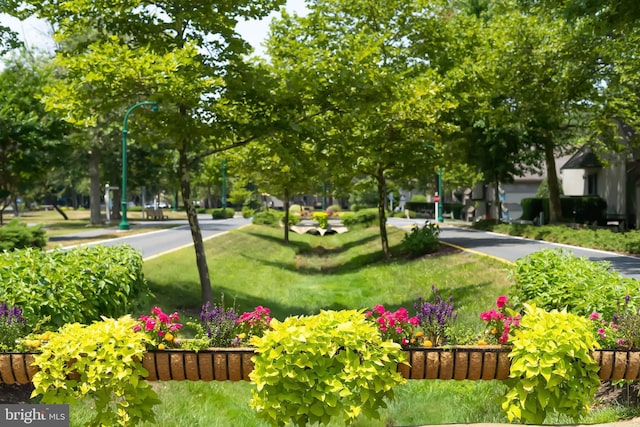 view of home's community with a lawn