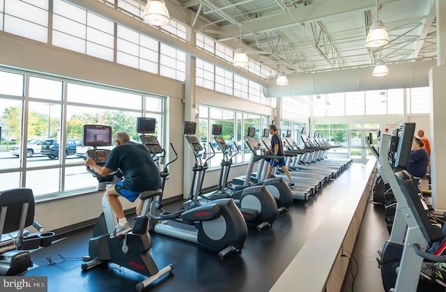 exercise room featuring a wealth of natural light